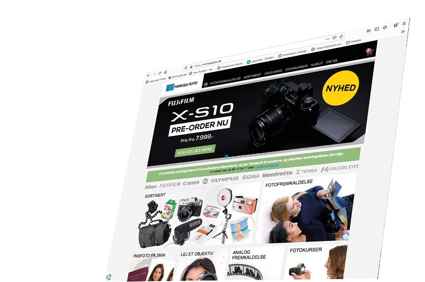 Mimosa foto webdesign